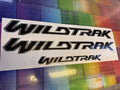 FORD RANGER WILDTRAK Stickers sides & Rear Decals. 2 Colour 2019-2021